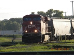 CP 8811